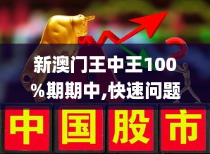 新澳门王中王100%期期中下，全面释义与实际落实的探索