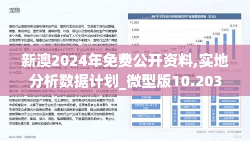 2025新澳最新版精准特，重塑产业生态的精准策略与实施路径